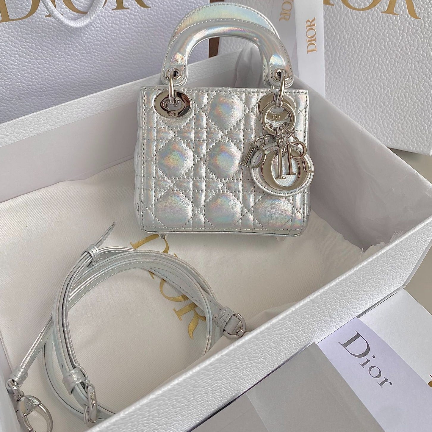 DIOR MICRO LADY 12 BAG IN SILVER LAMBSKIN
